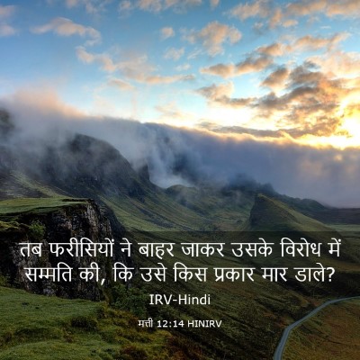 Picture 03 - मत्ती 12:14 HINIRV - तब फरीसियों ने - Bible Verse Picture