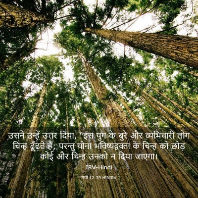 Picture 03 - मत्ती 12:39 HINIRV - उसने उन्हें उत्तर - Bible Verse Picture