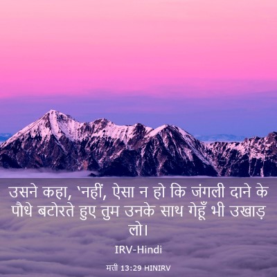 Picture 03 - मत्ती 13:29 HINIRV - उसने कहा, ‘नहीं, - Bible Verse Picture
