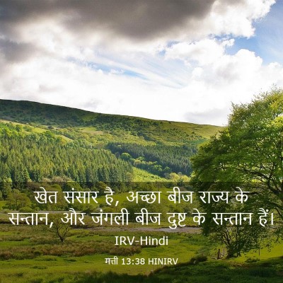 Picture 03 - मत्ती 13:38 HINIRV - खेत संसार है, अच्छा - Bible Verse Picture