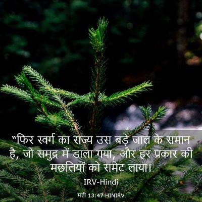 Picture 03 - मत्ती 13:47 HINIRV - “फिर स्वर्ग का - Bible Verse Picture
