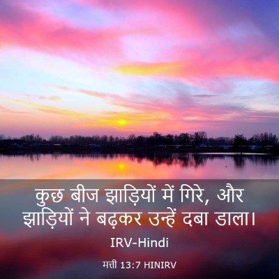 Picture 03 - मत्ती 13:7 HINIRV - कुछ बीज झाड़ियों - Bible Verse Picture
