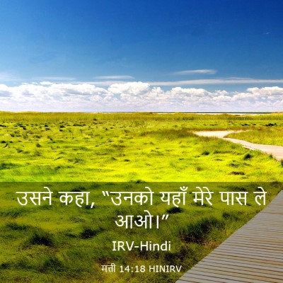 Picture 03 - मत्ती 14:18 HINIRV - उसने कहा, “उनको - Bible Verse Picture