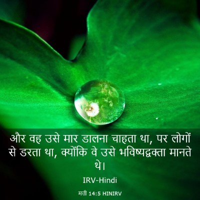 Picture 03 - मत्ती 14:5 HINIRV - और वह उसे मार डालना - Bible Verse Picture