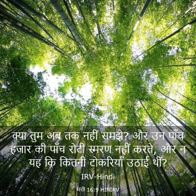 Picture 03 - मत्ती 16:9 HINIRV - क्या तुम अब तक नहीं - Bible Verse Picture