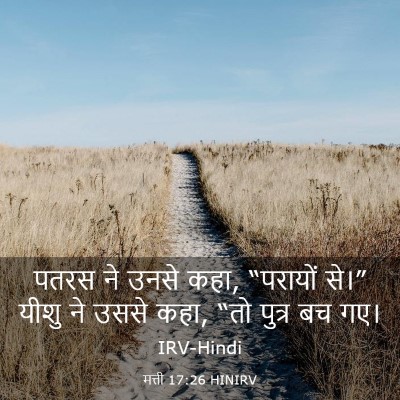 Picture 03 - मत्ती 17:26 HINIRV - पतरस ने उनसे कहा, - Bible Verse Picture