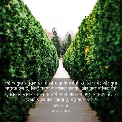 Picture 03 - मत्ती 19:12 HINIRV - क्योंकि कुछ - Bible Verse Picture