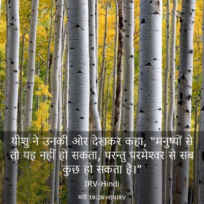 Picture 03 - मत्ती 19:26 HINIRV - यीशु ने उनकी ओर - Bible Verse Picture