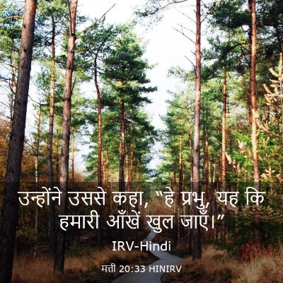 Picture 03 - मत्ती 20:33 HINIRV - उन्होंने उससे कहा, - Bible Verse Picture