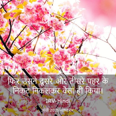 Picture 03 - मत्ती 20:5 HINIRV - फिर उसने दूसरे और - Bible Verse Picture