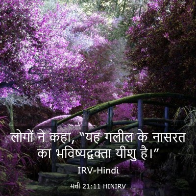 Picture 03 - मत्ती 21:11 HINIRV - लोगों ने कहा, “यह - Bible Verse Picture