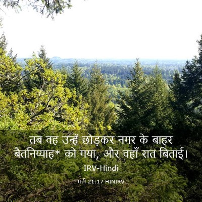Picture 03 - मत्ती 21:17 HINIRV - तब वह उन्हें - Bible Verse Picture