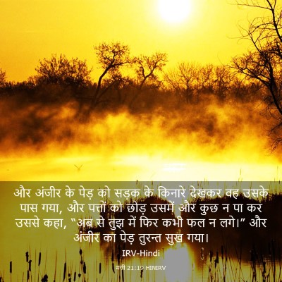 Picture 03 - मत्ती 21:19 HINIRV - और अंजीर के पेड़ को - Bible Verse Picture