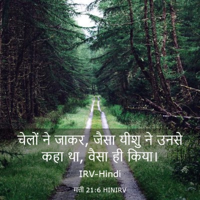 Picture 03 - मत्ती 21:6 HINIRV - चेलों ने जाकर, जैसा - Bible Verse Picture