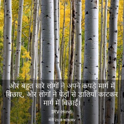 Picture 03 - मत्ती 21:8 HINIRV - और बहुत सारे लोगों - Bible Verse Picture