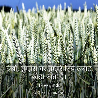Picture 03 - मत्ती 23:38 HINIRV - देखो, तुम्हारा घर - Bible Verse Picture