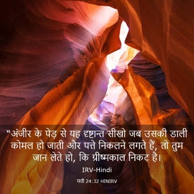Picture 03 - मत्ती 24:32 HINIRV - “अंजीर के पेड़ से - Bible Verse Picture