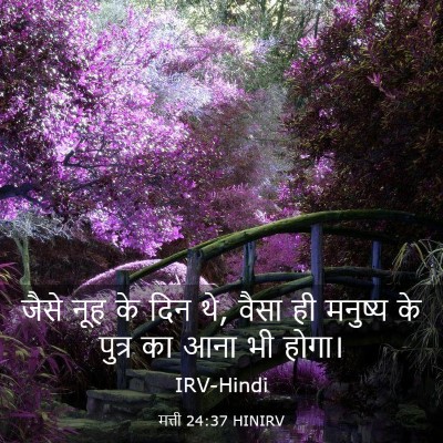 Picture 03 - मत्ती 24:37 HINIRV - जैसे नूह के दिन थे, - Bible Verse Picture
