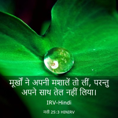Picture 03 - मत्ती 25:3 HINIRV - मूर्खों ने अपनी - Bible Verse Picture
