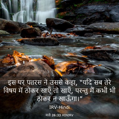 Picture 03 - मत्ती 26:33 HINIRV - इस पर पतरस ने उससे - Bible Verse Picture