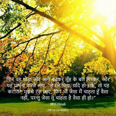 Picture 03 - मत्ती 26:39 HINIRV - फिर वह थोड़ा और आगे - Bible Verse Picture
