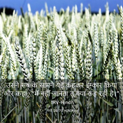 Picture 03 - मत्ती 26:70 HINIRV - उसने सब के सामने यह - Bible Verse Picture