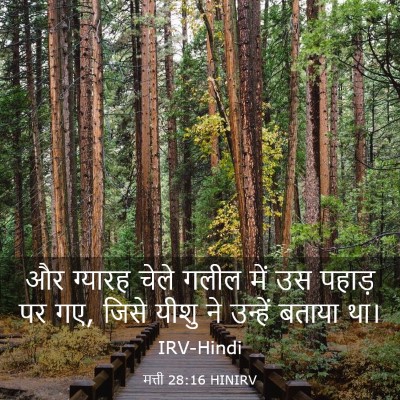 Picture 03 - मत्ती 28:16 HINIRV - और ग्यारह चेले - Bible Verse Picture