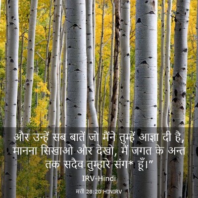 Picture 03 - मत्ती 28:20 HINIRV - और उन्हें सब बातें - Bible Verse Picture