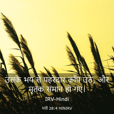 Picture 03 - मत्ती 28:4 HINIRV - उसके भय से पहरेदार - Bible Verse Picture