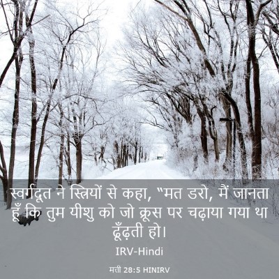 Picture 03 - मत्ती 28:5 HINIRV - स्वर्गदूत ने - Bible Verse Picture
