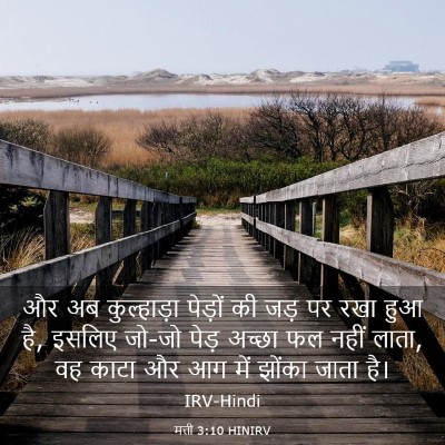 Picture 03 - मत्ती 3:10 HINIRV - और अब कुल्हाड़ा - Bible Verse Picture