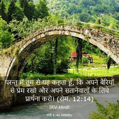 Picture 03 - मत्ती 5:44 HINIRV - परन्तु मैं तुम से - Bible Verse Picture