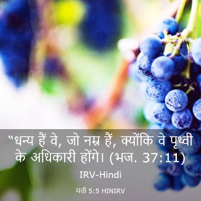 Picture 03 - मत्ती 5:5 HINIRV - “धन्य हैं वे, जो - Bible Verse Picture