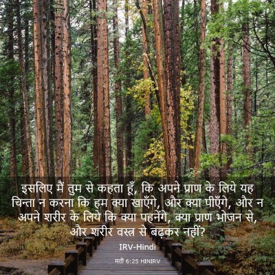 Picture 03 - मत्ती 6:25 HINIRV - इसलिए मैं तुम से - Bible Verse Picture