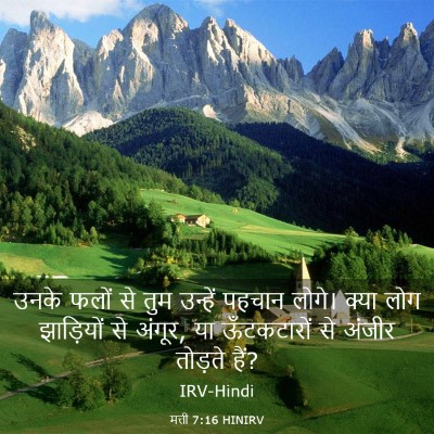 Picture 03 - मत्ती 7:16 HINIRV - उनके फलों से तुम - Bible Verse Picture