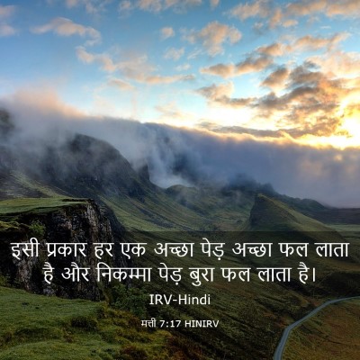 Picture 03 - मत्ती 7:17 HINIRV - इसी प्रकार हर एक - Bible Verse Picture