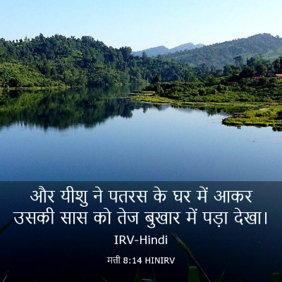 Picture 03 - मत्ती 8:14 HINIRV - और यीशु ने पतरस के - Bible Verse Picture
