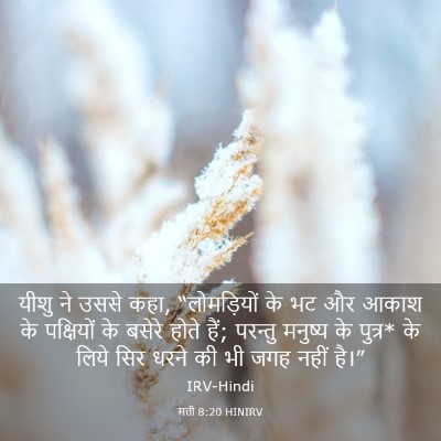 Picture 03 - मत्ती 8:20 HINIRV - यीशु ने उससे कहा, - Bible Verse Picture