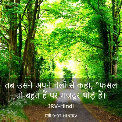 Picture 03 - मत्ती 9:37 HINIRV - तब उसने अपने चेलों - Bible Verse Picture