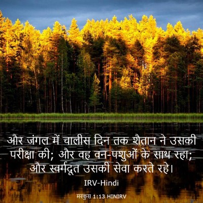 Picture 03 - मरकुस 1:13 HINIRV - और जंगल में चालीस - Bible Verse Picture