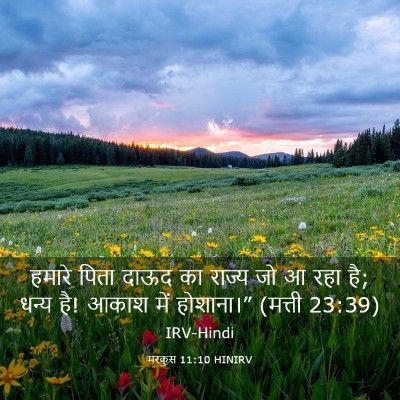 Picture 03 - मरकुस 11:10 HINIRV - हमारे पिता दाऊद का - Bible Verse Picture