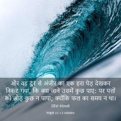 Picture 03 - मरकुस 11:13 HINIRV - और वह दूर से अंजीर - Bible Verse Picture