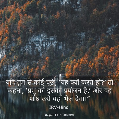 Picture 03 - मरकुस 11:3 HINIRV - यदि तुम से कोई - Bible Verse Picture
