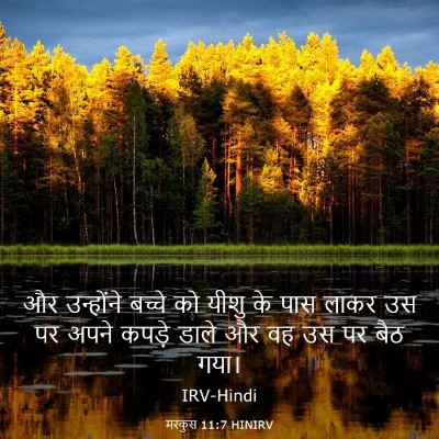 Picture 03 - मरकुस 11:7 HINIRV - और उन्होंने बच्चे - Bible Verse Picture