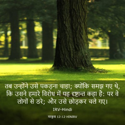 Picture 03 - मरकुस 12:12 HINIRV - तब उन्होंने उसे - Bible Verse Picture