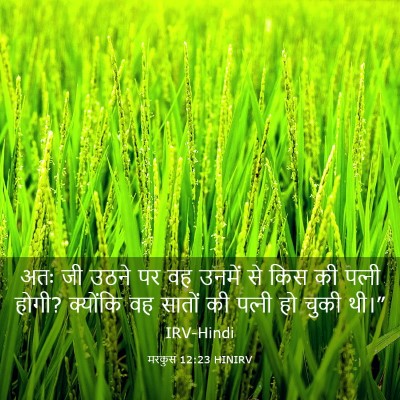 Picture 03 - मरकुस 12:23 HINIRV - अतः जी उठने पर वह - Bible Verse Picture