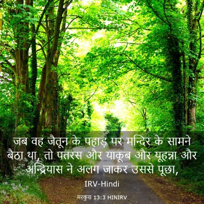 Picture 03 - मरकुस 13:3 HINIRV - जब वह जैतून के - Bible Verse Picture