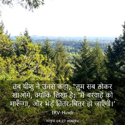 Picture 03 - मरकुस 14:27 HINIRV - तब यीशु ने उनसे - Bible Verse Picture