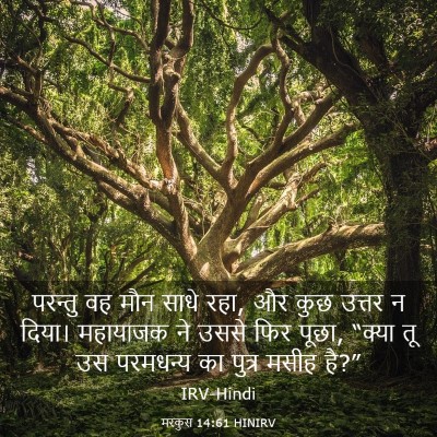 Picture 03 - मरकुस 14:61 HINIRV - परन्तु वह मौन साधे - Bible Verse Picture