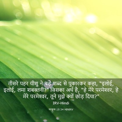 Picture 03 - मरकुस 15:34 HINIRV - तीसरे पहर यीशु ने - Bible Verse Picture